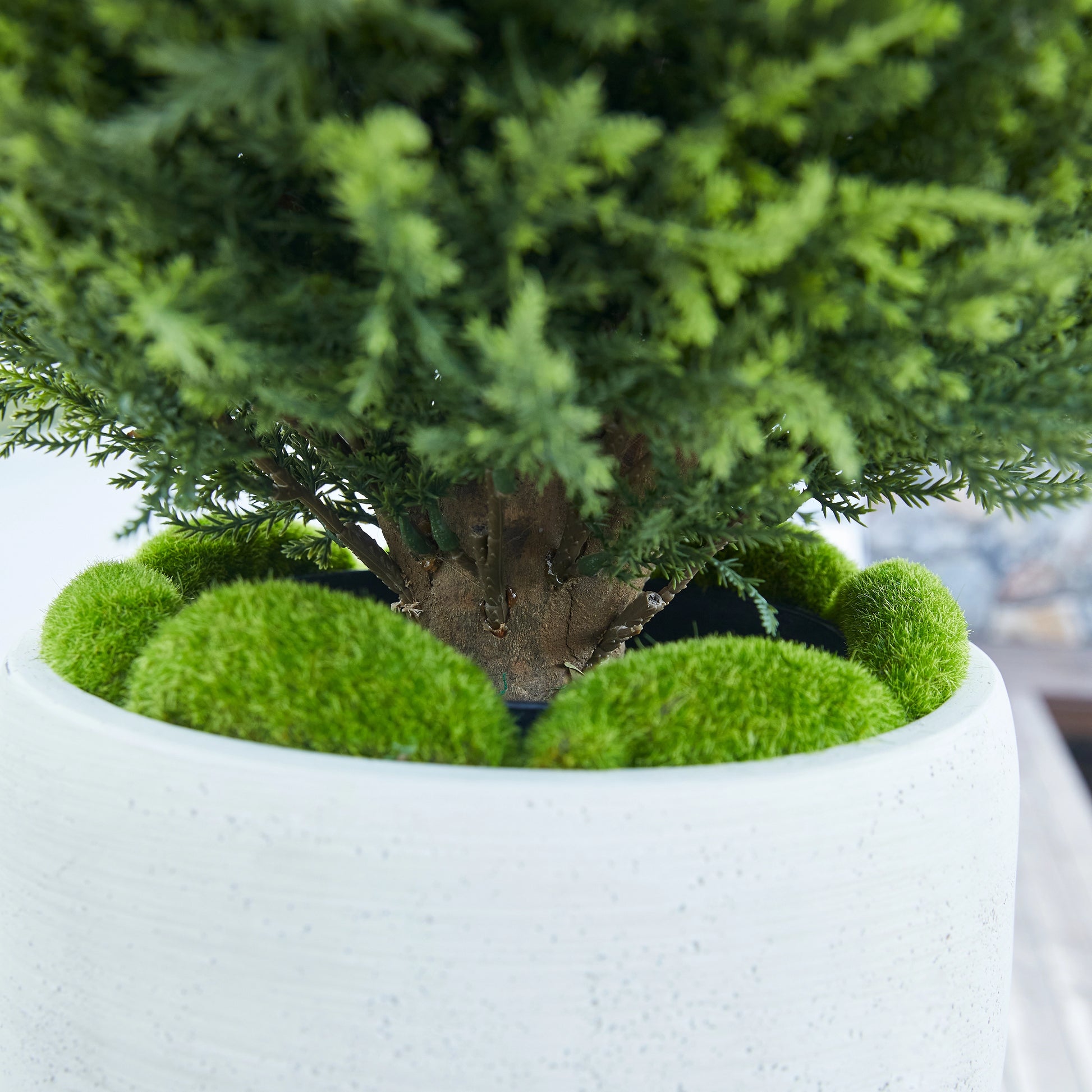 Künstliche Zypresse – Sylvano | 75 cm