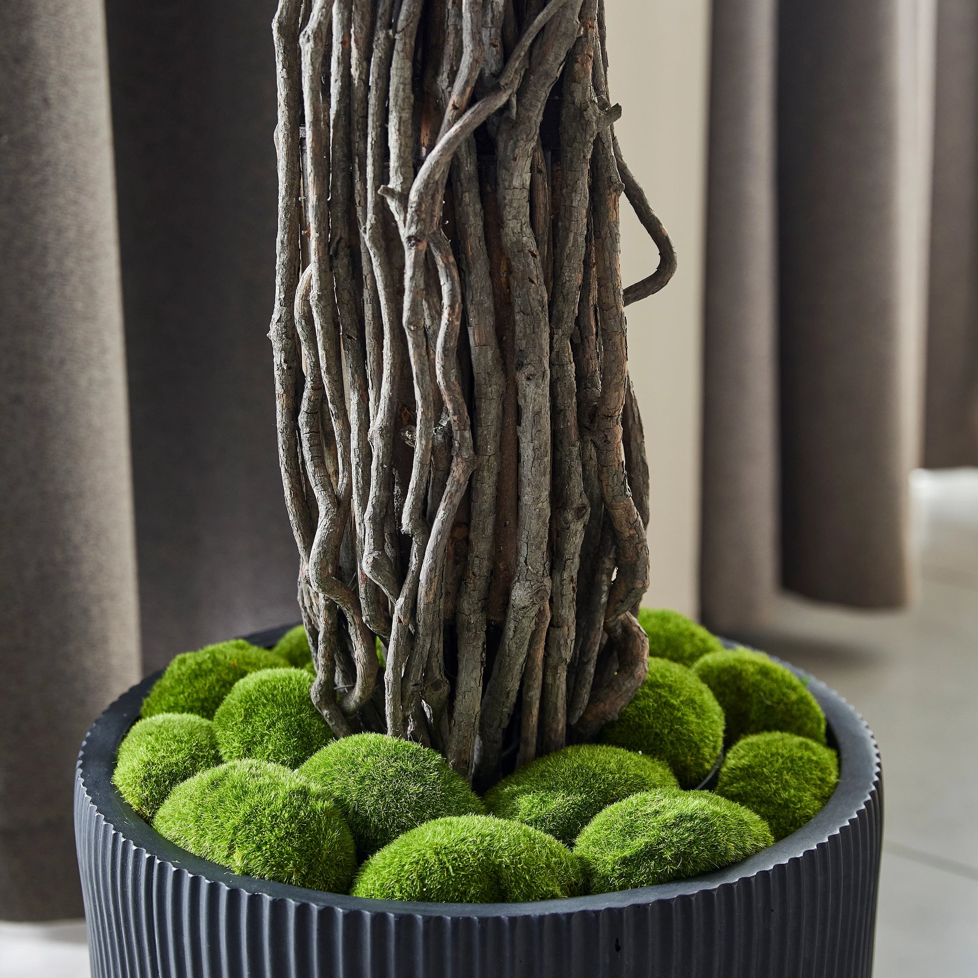 Künstlicher Ficus – Amadior | 210 cm