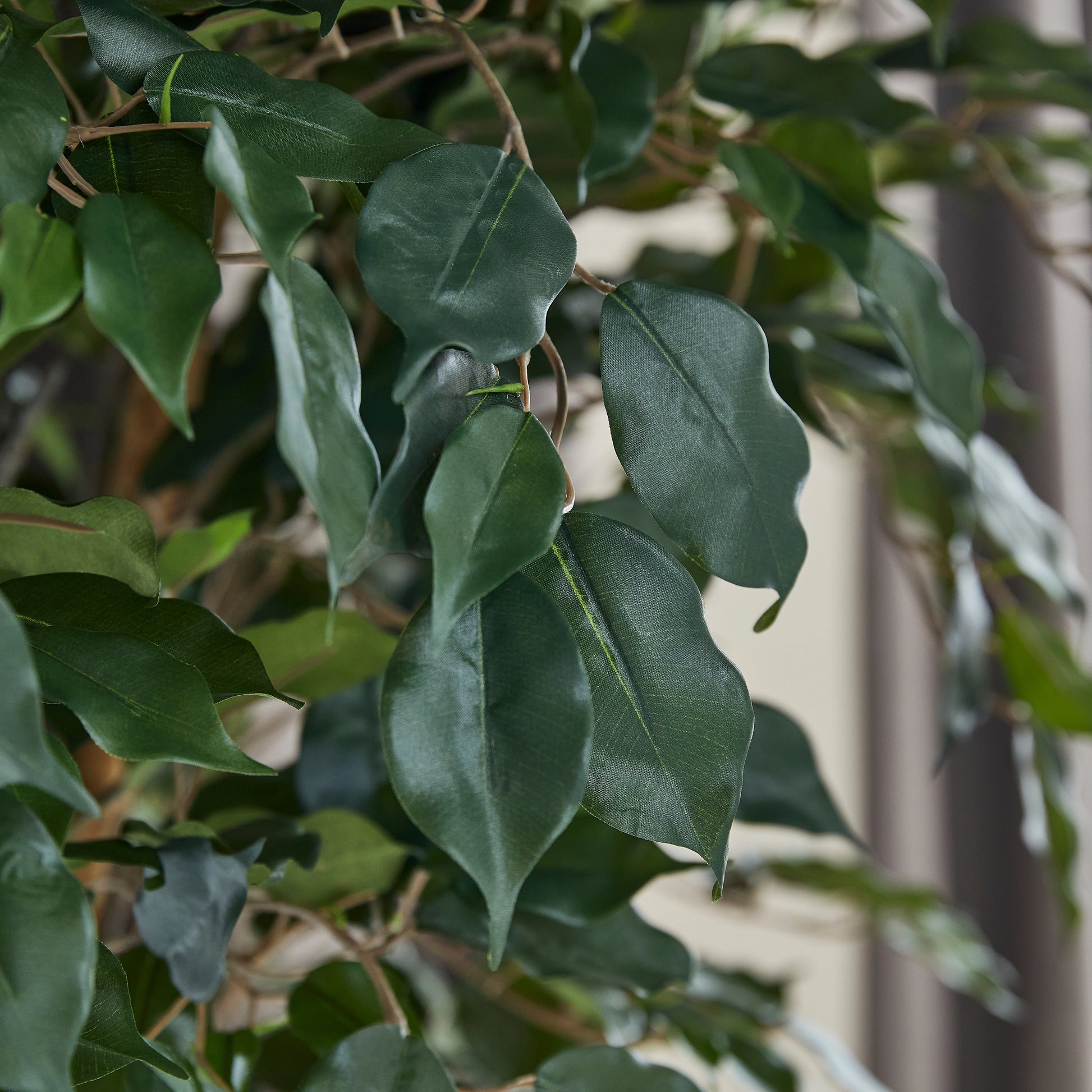 Künstlicher Ficus – Amadior | 210 cm