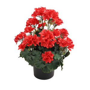 Künstliche Geranie - Letizia I 45 cm