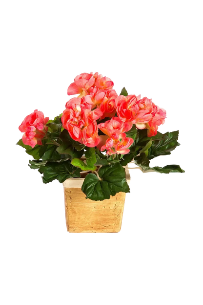 Künstliche Begonie - Steckpflanze - Tom | 20 cm