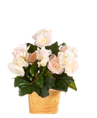 Künstliche Begonie - Steckpflanze - Tim | 20 cm