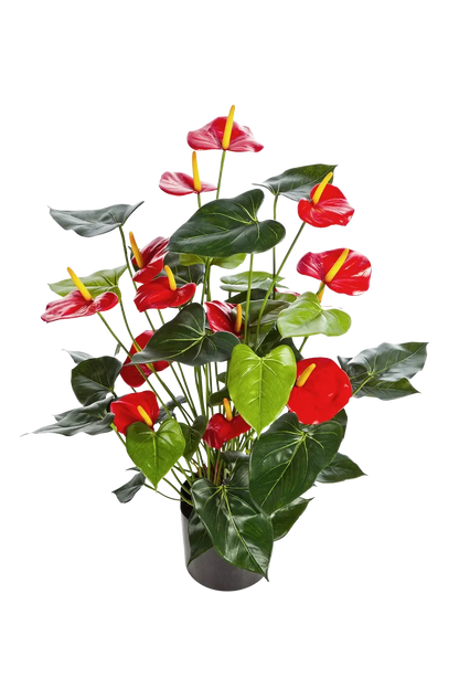 Künstliche Flamingoblume - Caspar, 78 cm, Kunstpflanze von aplanta, im schwarzen Topf, in Rot, für drinnen