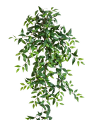 Hochwertige künstliche Hängepflanze auf transparentem Hintergrund mit echt wirkenden Kunstblättern in natürlicher Anordnung. Künstliche Dreimasterblume - Amy hat die Farbe Natur und ist 105 cm hoch. | aplanta Kunstpflanzen