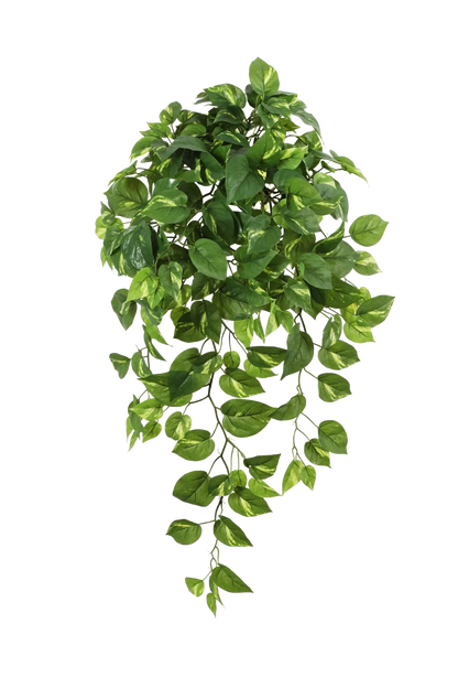 Künstlicher Hänge-Pothos - Bella, 85 cm, Kunstpflanze von aplanta, Steckpflanze, in Natur, für drinnen