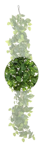 Hochwertige künstliche Hängepflanze auf transparentem Hintergrund mit echt wirkenden Kunstblättern in natürlicher Anordnung. Künstliche Pothos Girlande - Beyza hat die Farbe Natur und ist 180 cm hoch. | aplanta Kunstpflanzen