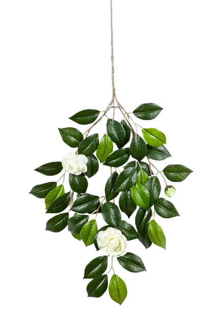 Künstlicher Kamelien Zweig - Betül auf transparentem Hintergrund mit echt wirkenden Kunstblättern in natürlicher Anordnung. Künstlicher Kamelien Zweig - Betül hat die Farbe Natur und ist 55 cm hoch. | aplanta Kunstpflanzen