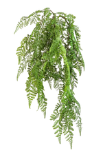 Künstlicher Hänge-Wurmfarn - Bennett, 60 cm, Kunstpflanze von aplanta, Steckpflanze, in Natur, für drinnen