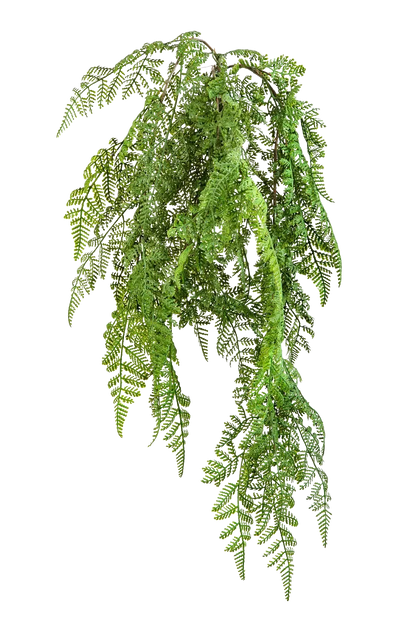 Künstlicher Hänge-Wurmfarn - Bennett, 60 cm, Kunstpflanze von aplanta, Steckpflanze, in Natur, für drinnen
