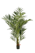 Künstliche Kentia Palme - Cecilia, 225 cm, Kunstbaum von aplanta, in Natur, für drinnen