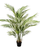 Hochwertige Kunstpalme auf transparentem Hintergrund mit echt wirkenden Kunstblättern in natürlicher Anordnung. Künstliche Goldfruchtpalme - Eva hat die Farbe Natur und ist 130 cm hoch. | aplanta Kunstpflanzen