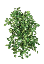 Künstliche Pothos - Emir, 50 cm, Kunstpflanze von aplanta, Steckpflanze, in Natur, für drinnen