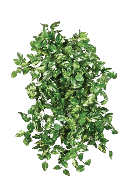 Künstliche Pothos - Emir, 50 cm, Kunstpflanze von aplanta, Steckpflanze, in Natur, für drinnen