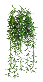 Hochwertige künstliche Hängepflanze auf transparentem Hintergrund mit echt wirkenden Kunstblättern in natürlicher Anordnung. Künstliche Hänge-Sukkulente - Henriette hat die Farbe Natur und ist 45 cm hoch. | aplanta Kunstpflanzen