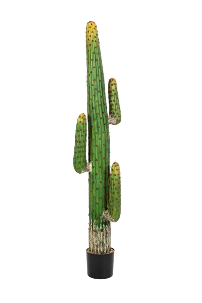 Künstlicher Kaktus - Hagen, 170 cm, Kunstpflanze von aplanta, in Natur, für drinnen