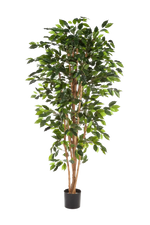 Künstlicher Ficusbaum - Sylvior, 150 cm, Kunstbaum von aplanta, mit Echtholzstamm, UV-beständig, inkl. Startertopf, in Grün