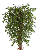 Künstliche Feige - Juna auf transparentem Hintergrund mit echt wirkenden Kunstblättern in natürlicher Anordnung. Künstliche Feige - Juna hat die Farbe Natur und ist 150 cm hoch. | aplanta Kunstpflanzen