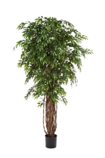Künstlicher Ficus - Jayden, 210 cm, Kunstbaum von aplanta, in Natur, für drinnen