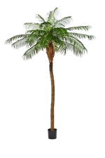 Künstliche Phoenixpalme - Zephyra, 240 cm, Kunstbaum von aplanta, in Grün, für drinnen