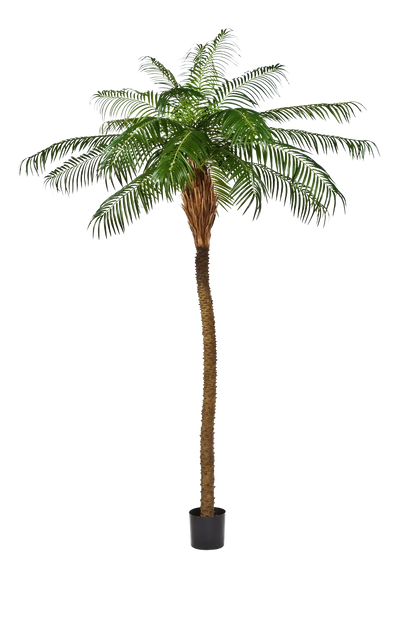 Künstliche Phoenixpalme - Zephyra, 240 cm, Kunstbaum von aplanta, in Grün, für drinnen