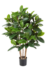 Künstlicher Gummibaum - Laura, 120 cm, Kunstbaum von aplanta, mit Echtholzstamm, in Natur, für drinnen