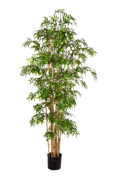 Künstlicher Bambus - Lucia, 230 cm, Kunstbaum von aplanta, mit Echtholzstamm, in Natur, für drinnen