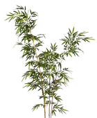 Hochwertiger Kunstbambus auf transparentem Hintergrund mit echt wirkenden Kunstblättern in natürlicher Anordnung. Künstlicher Bambus - Melissa hat die Farbe Natur und ist 260 cm hoch. | aplanta Kunstpflanzen