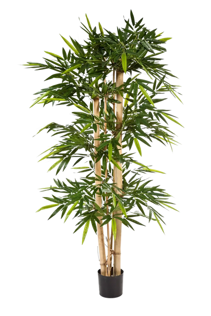 Künstlicher Bambus - Martha, 240 cm, Kunstbaum von aplanta, mit Echtholzstamm, im schwarzen Topf, in Natur, für drinnen