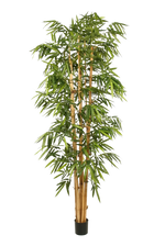 Künstlicher Bambus - Kenai, 180 cm, Kunstbaum von aplanta, mit Echtholzstamm, UV-beständig, inkl. Startertopf, in Grün