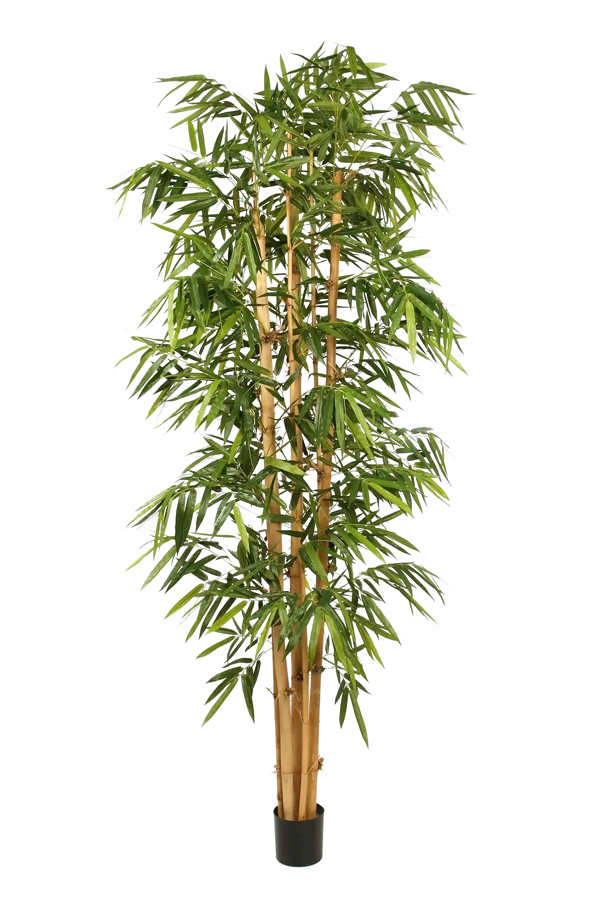 Künstlicher Bambus - Kenai, 180 cm, Kunstbaum von aplanta, mit Echtholzstamm, UV-beständig, inkl. Startertopf, in Grün