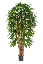 Künstliche Steckenpalme - Nicole, 180 cm, Kunstbaum von aplanta, feuerhemmend, in Natur, für drinnen