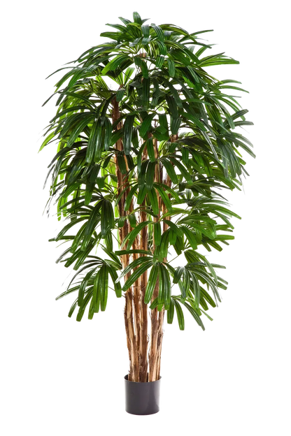 Künstliche Steckenpalme - Nicole, 180 cm, Kunstbaum von aplanta, feuerhemmend, in Natur, für drinnen