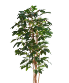 Künstlicher Kaffebaum - Philomena | 180 cm