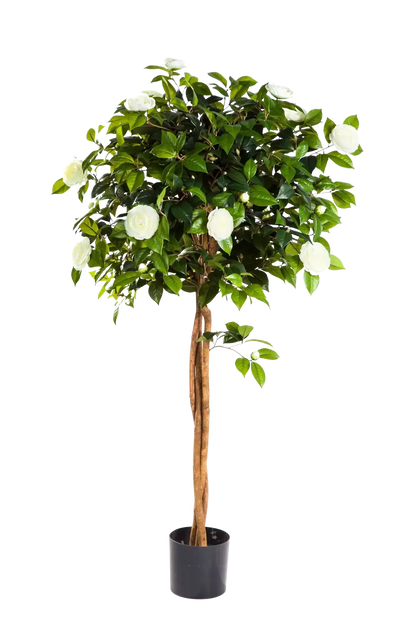 Künstlicher Kamelienbaum - Pina, 160 cm, Kunstbaum von aplanta, für drinnen