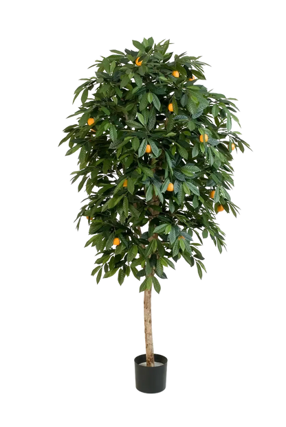Künstlicher Orangenbaum - Pius, 170 cm, Kunstbaum von aplanta, mit Echtholzstamm, im schwarzen Topf, in Natur, für drinnen