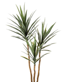 Künstliche Yucca – Talandra | 150 cm