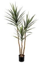 Künstliche Yucca - Talandra, 150 cm, Kunstbaum von aplanta, in Grün, für drinnen