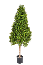 Hochwertiger Buchsbaum künstlich auf transparentem Hintergrund mit echt wirkenden Kunstblättern in natürlicher Anordnung. Künstlicher Buchsbaum - Rene hat die Farbe Natur und ist 105 cm hoch. | aplanta Kunstpflanzen