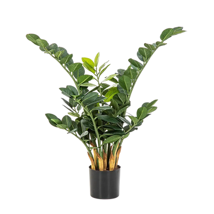 Künstliche Zamioculcas - Svea, 66 cm, Kunstpflanze von aplanta, im schwarzen Topf, in Natur, für drinnen