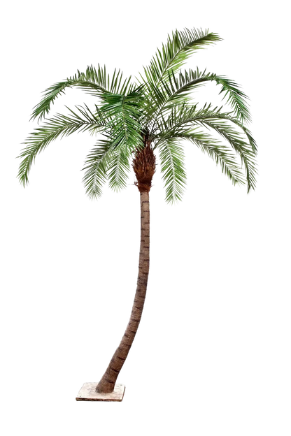 Künstliche Phoenixpalme - Simon, 390 cm, Kunstbaum von aplanta, in Natur, für drinnen