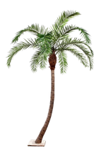 Künstliche Phoenixpalme - Simon, 360 cm, Kunstbaum von aplanta, in Natur, für drinnen