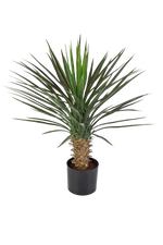 Künstliche Yucca Rostrata Palme - Sven, 82 cm, Kunstbaum von aplanta, in Natur, für drinnen