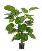 Künstliche Pothos - Wotan auf transparentem Hintergrund mit echt wirkenden Kunstblättern in natürlicher Anordnung. Künstliche Pothos - Wotan hat die Farbe Natur und ist 115 cm hoch. | aplanta Kunstpflanzen