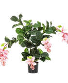 Künstliche Medinilla magnifica - Penelope auf transparentem Hintergrund mit echt wirkenden Kunstblättern in natürlicher Anordnung. Künstliche Medinilla magnifica - Penelope hat die Farbe Pink und ist 78 cm hoch. | aplanta Kunstpflanzen