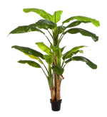 Künstlicher Bananenbaum - Pauline auf transparentem Hintergrund mit echt wirkenden Kunstblättern. Diese Kunstpflanze gehört zur Gattung/Familie der "Bananenbäume" bzw. "Kunst-Bananenbäume".
