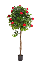 Künstlicher Kamelienbaum - Pelin, 160 cm, Kunstbaum von aplanta, in Rot, für drinnen