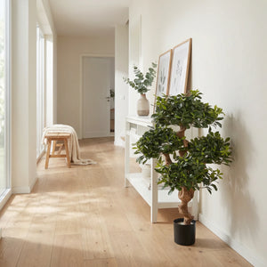 Pittosporum artificiel - Pierre | 120 cm