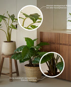 Herbe artificielle pour lampadaire - Paulin | 45 cm