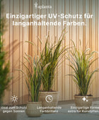 Künstliche Lorbeerzweig - Eugen | 51 cm