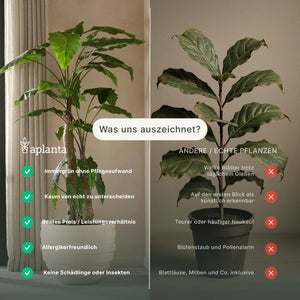 Géranium artificiel suspendu - Adam | 72 cm